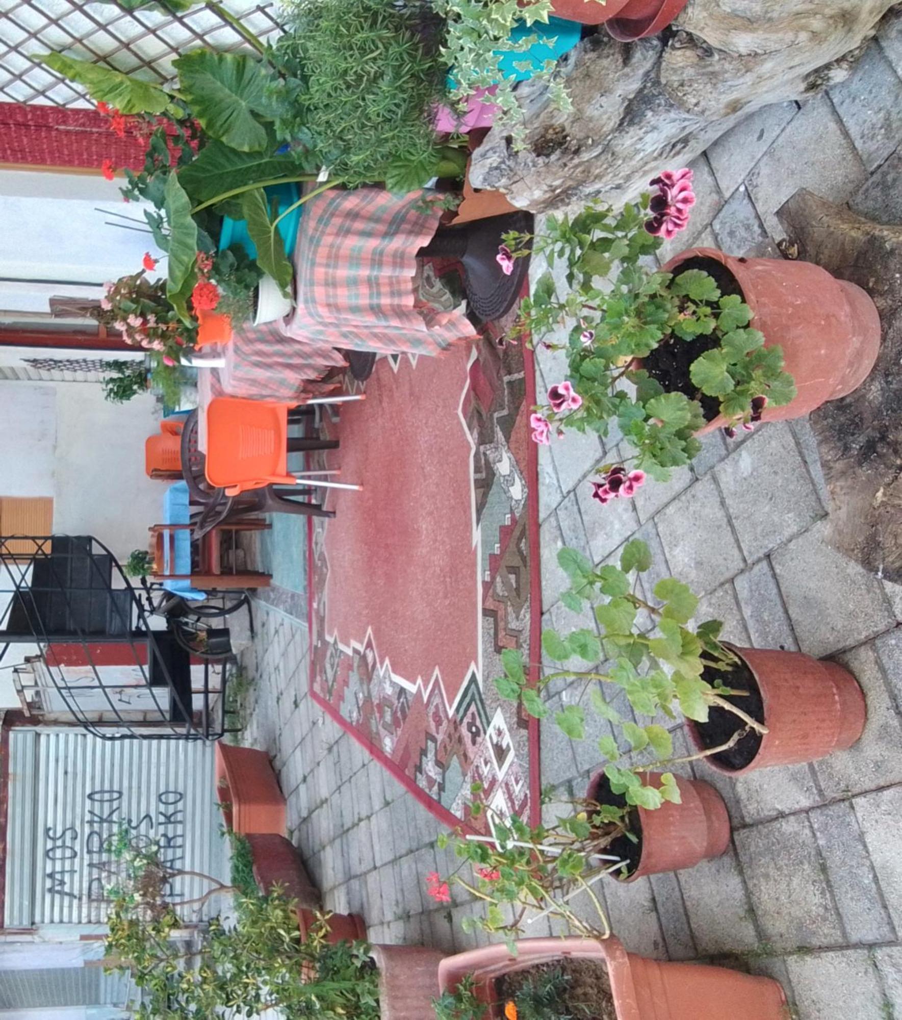 Casa Mia Hostel Vlore Ngoại thất bức ảnh