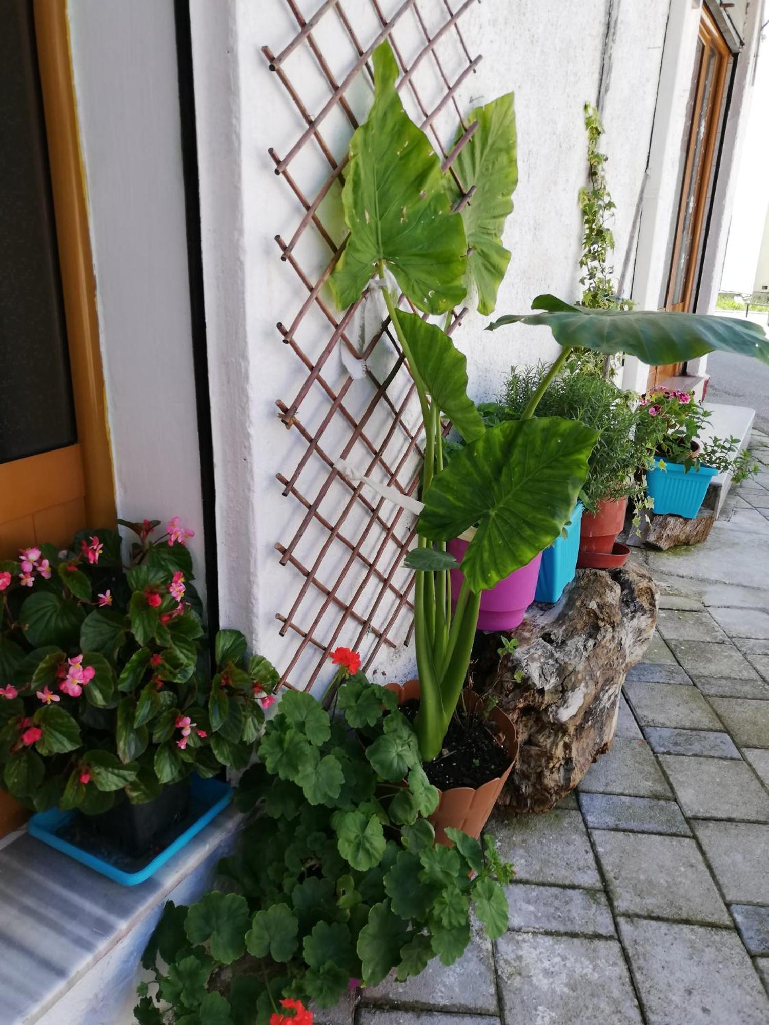 Casa Mia Hostel Vlore Ngoại thất bức ảnh